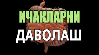 ✔️ Долзарб! ИЧАКЛАРНИ ДАВОЛАШ - Ичак шамоллаши давоси - "Тешик" ичаклар (3-қисм)
