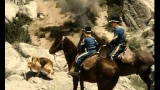 RinTinTin  - L'Appel Du Clairon (fr) 2