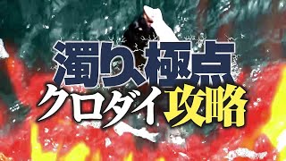 濁り、極点　クロダイ攻略