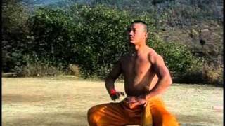 Shaolin warrior training