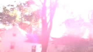 BongoCam