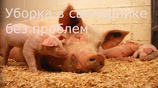 Свиноводство!Устройство канализации.Навозоудаление.