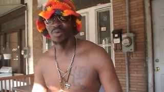 Cat Sex With A Pimp - Rated (R) Comedy