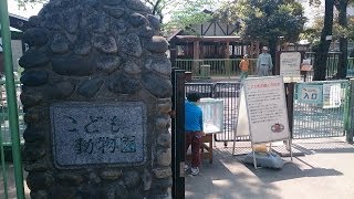 板橋区立こども動物園　動物紹介