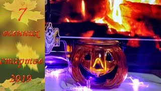 7 осенних стартов.  5 - й старт и... Финиш!