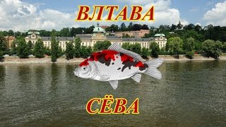 РУССКАЯ РЫБАЛКА 3: СЕВА