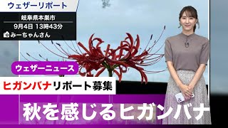 秋を感じるヒガンバナ