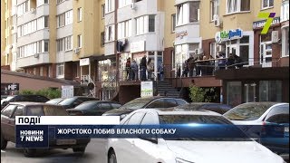 Одесит жорстоко побив власного собаку