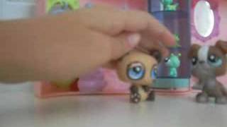 The LPS Pet Shop