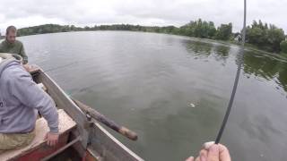 Хороший окунь на Rigge 56SP