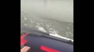 Flinc 320 + Sea-Pro 6, (4 такта)