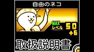 【にゃんこ大戦争】低コスト100％バリアブレイカー！自由のネコのトリセツ　#261