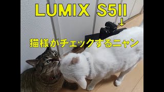 LUMIX S5II vs CAT 猫がチェックするニャン 開封動画