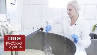 Импортозамещение: производство редких сыров в России  - BBC Russian