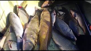 Январь 2017  П.О. АГРАХАНСКИЙ ЗАЛИВ. сазаны, амуры,судаки....January 2017 PO Agrakhan BAY.