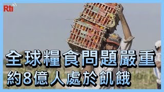 全球糧食問題嚴重 逾8億人處於饑餓中【央廣國際新聞】