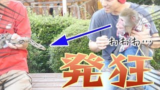 はじめて本物のヘビを見たお猿さん…「危険」と判断する本能やばすぎる…！！！