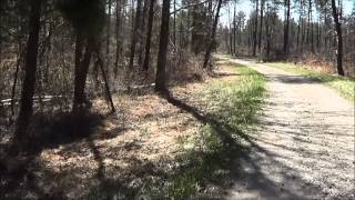 Hiking in the Kentucky Forest
