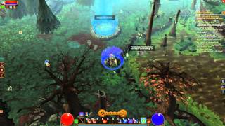 Torchlight 2 Tank Engineer Elite NG+5 Gameplay Act III