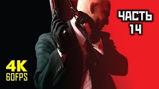 Hitman: Absolution, Прохождение Без Комментариев - Часть 14: Правосудие Скерки [PC | 4K | 60FPS]